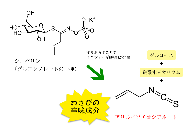 アリルイソチオシアネート