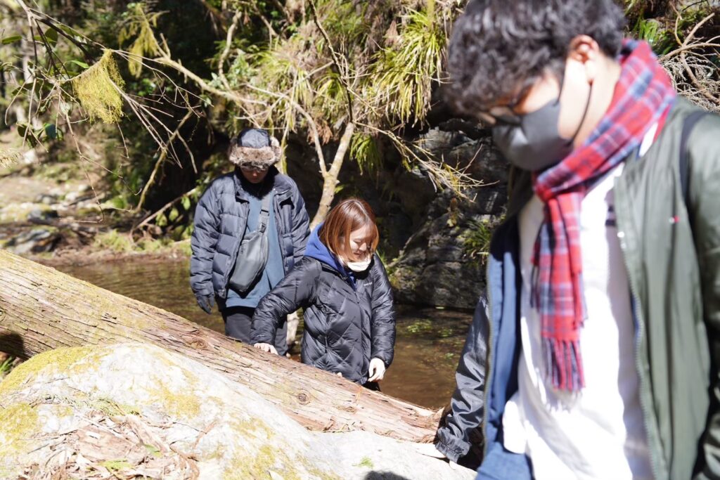 line album wasabi experience 250528 2
